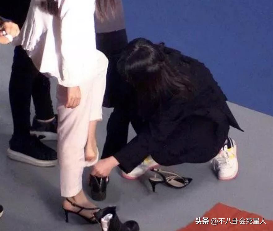 娱乐圈下跪事件,娱乐圈的真实拜高踩低