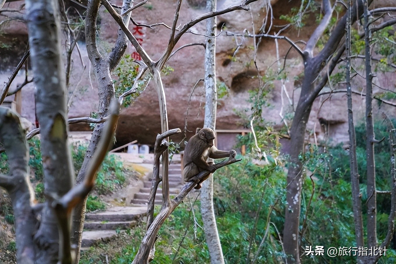 一分钟了解武夷山旅游景点攻略,福建自由行武夷山旅游攻略