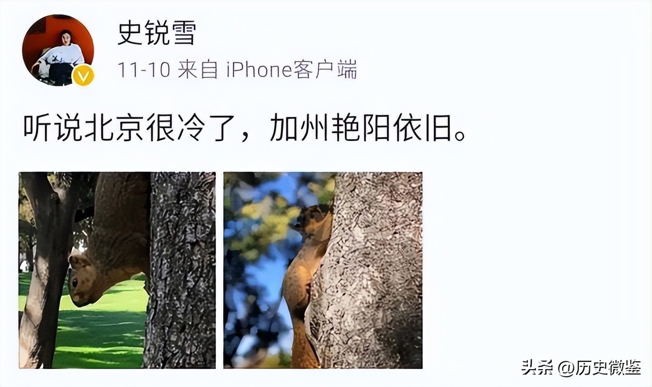 女总裁被诈骗5亿,中国美女总裁跨国诈骗