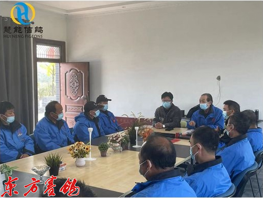 21年惠能秋棚决赛获奖鸽照片,慧能信鸽秋棚直播