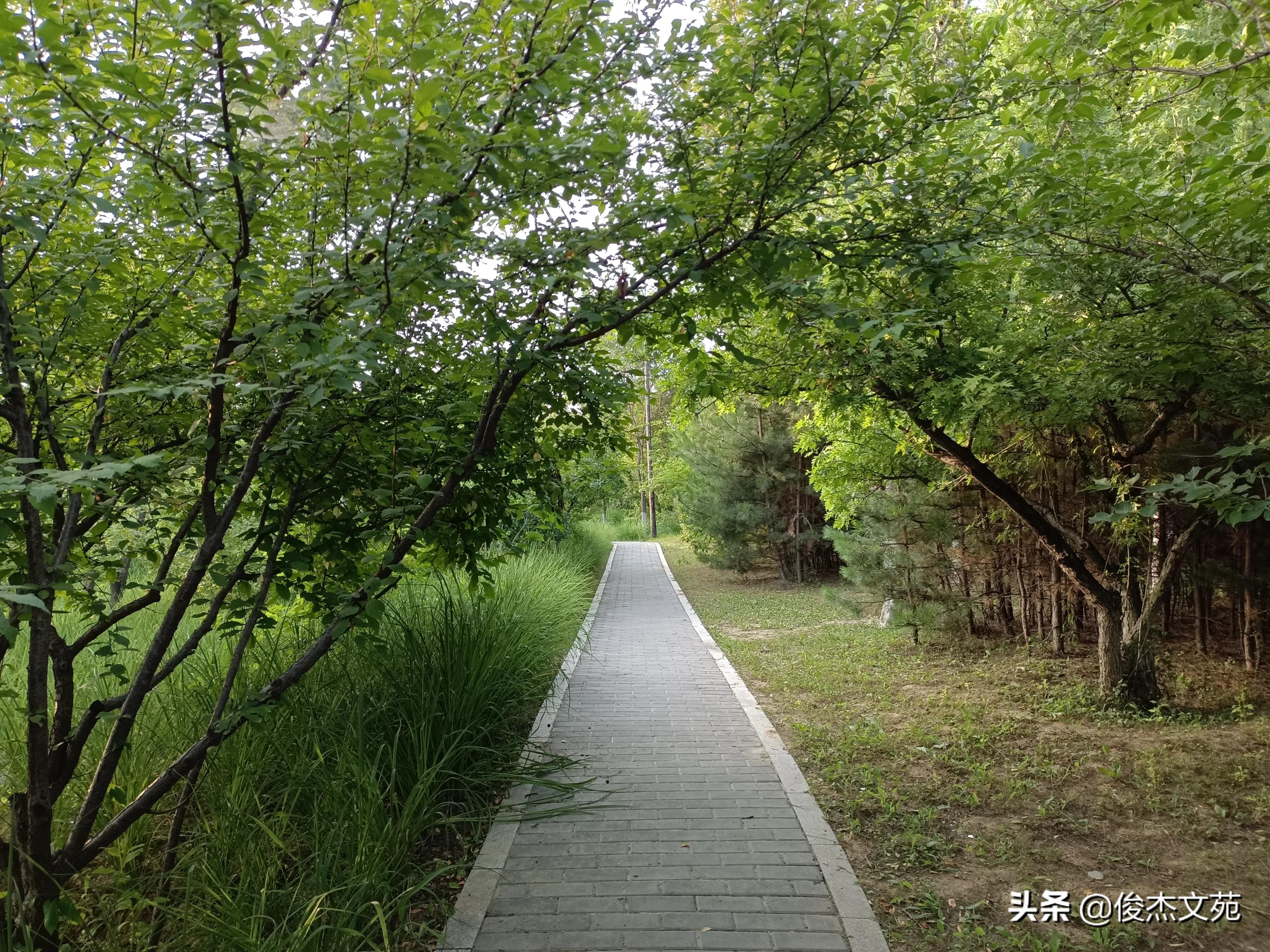 美丽的她,美丽的脚印图片