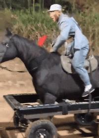 为什么只拍上半身,为什么只拍上半身镜头往下移