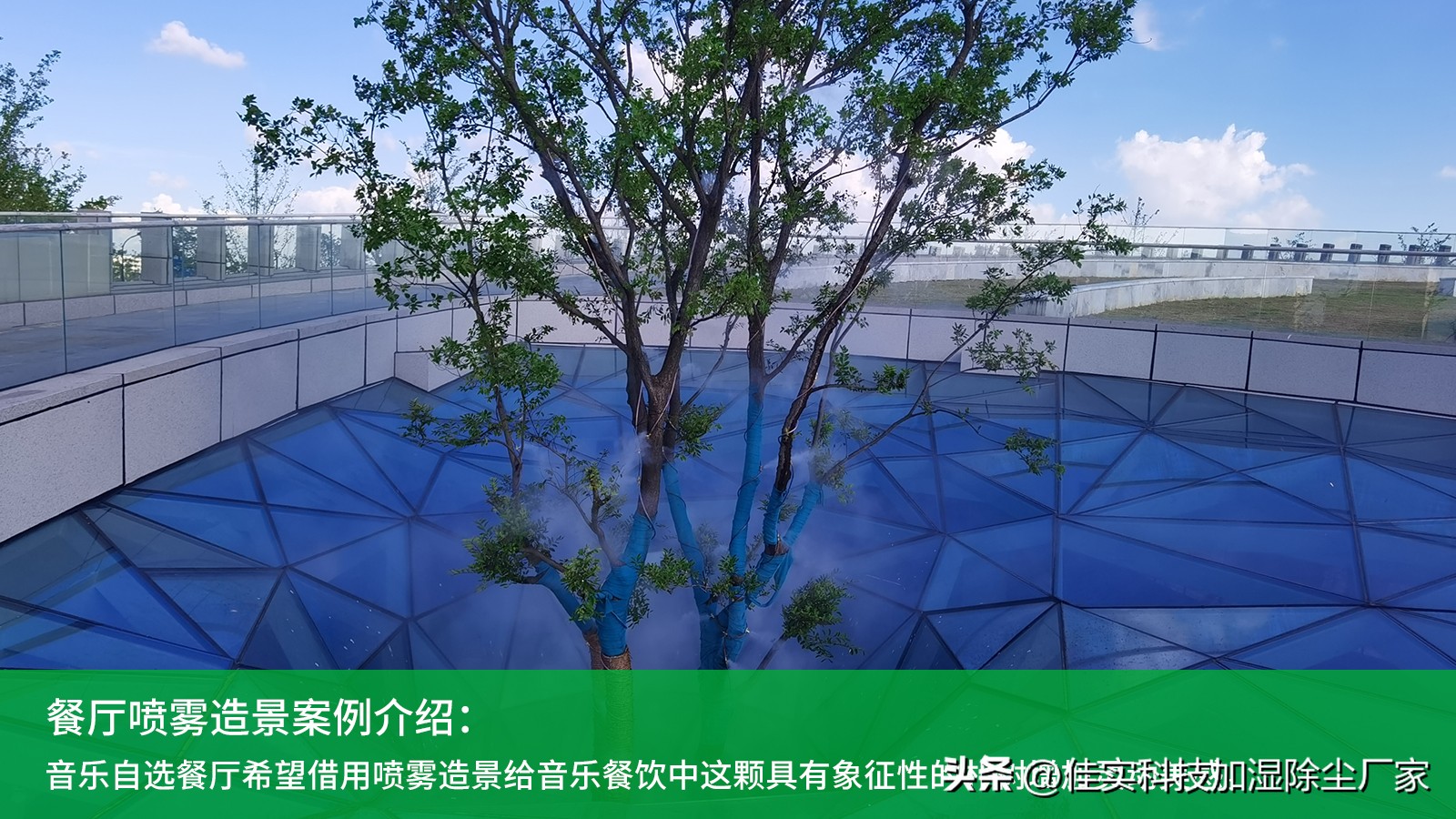 餐厅微型景观设计案例分享,餐厅室内景观造景