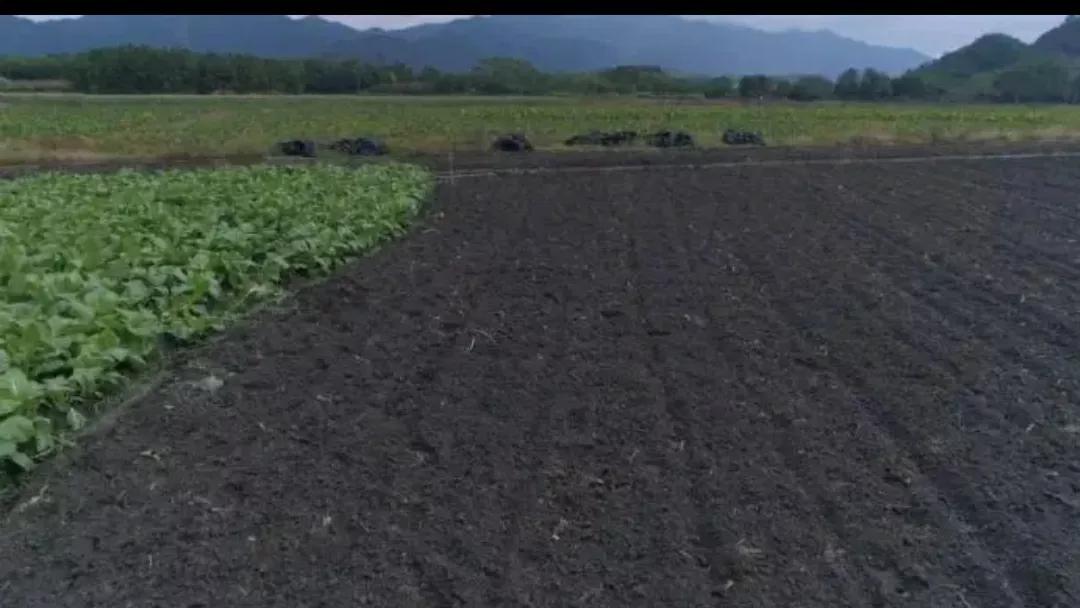 双鸭山最宜居的地方,双鸭山是中国最东北的城市
