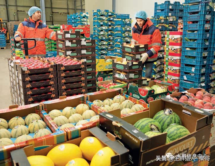 全国最大的果蔬批发市场,全球最大水果批发市场