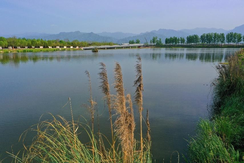 西安高新区公园,西安高新区艺术区