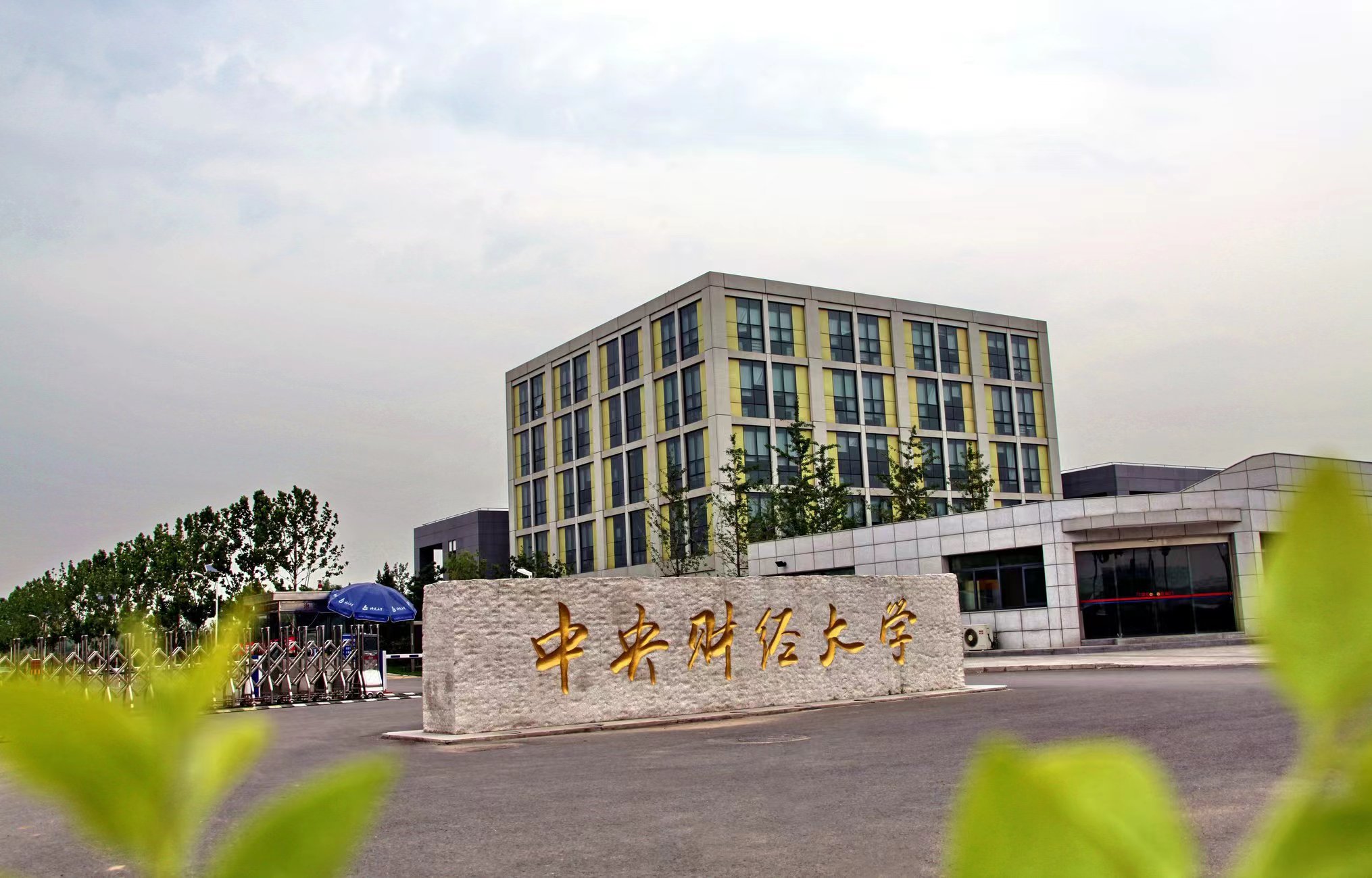 我，17年不听劝，花342万去河北霸州买了2套房，如今肠子都悔青了