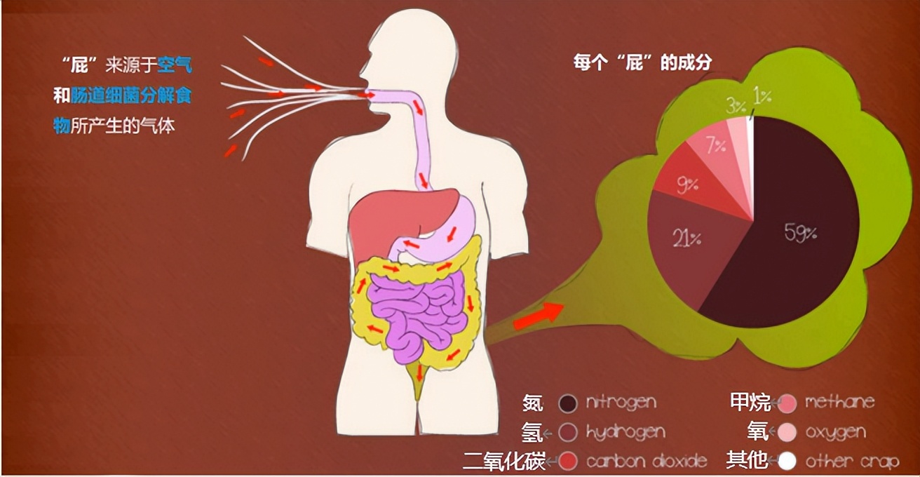 放屁多跟脾胃有关系没有,放屁是肠胃求救信号