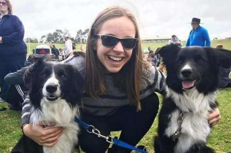 边牧除了智商高，还有这几个优点值得你饲养