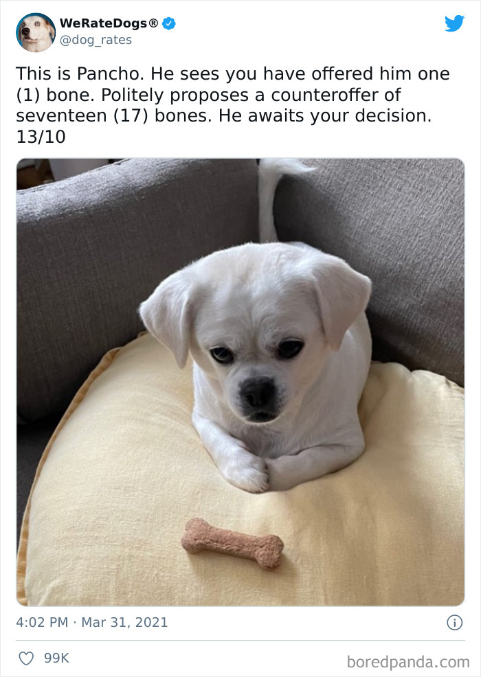 缇庡浗灏忓摜鐐硅瘎瑙嗛,缇庡浗灏忓摜鐐硅瘎