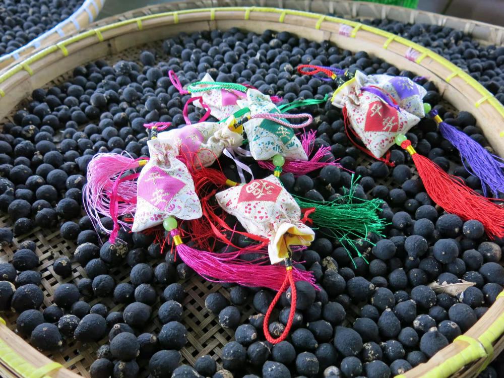 瓯海区的瓯柑,瓯柑市场前景如何