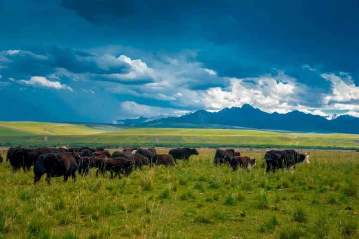 什么是甘肃,什么是甘肃地震