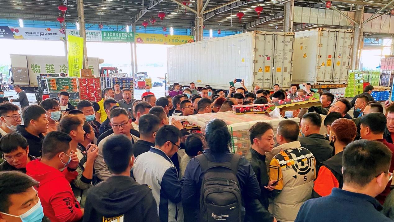 智利车厘子泰奥加,智利车厘子复合果酱