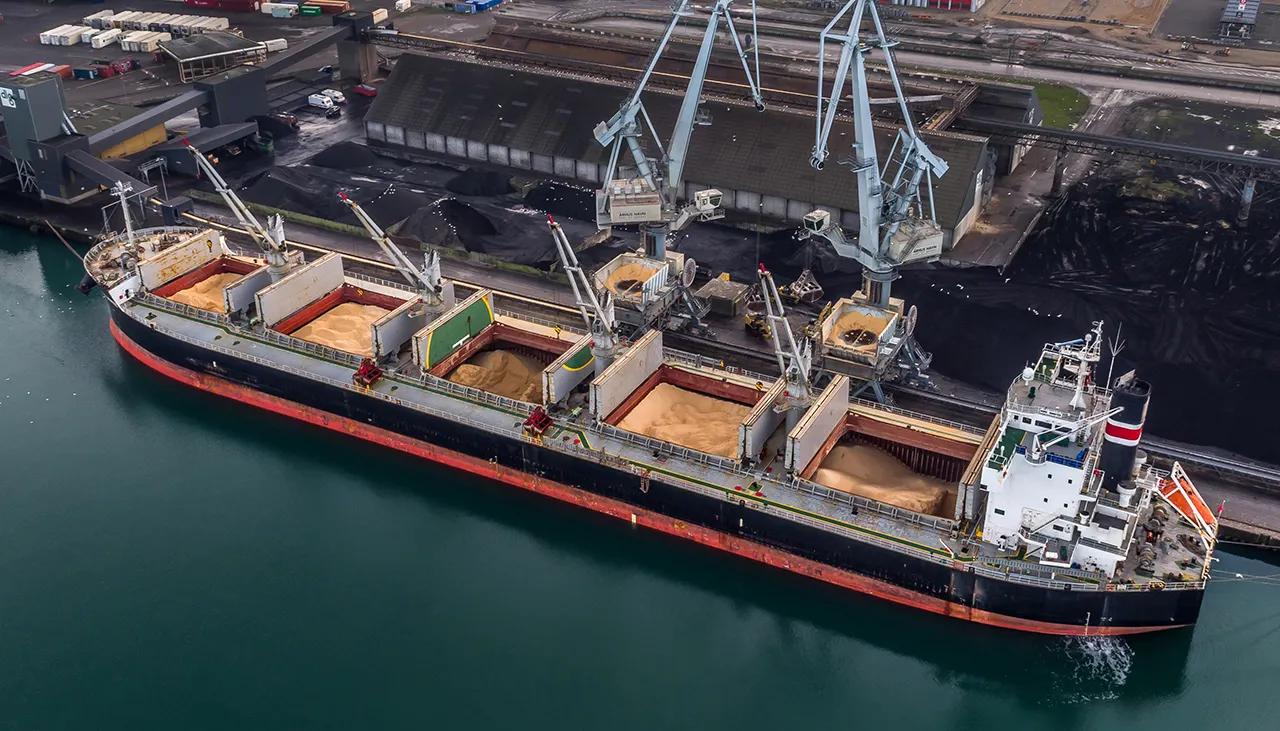 河北一地首次发现野生大豆,中国近期发现的野生大豆