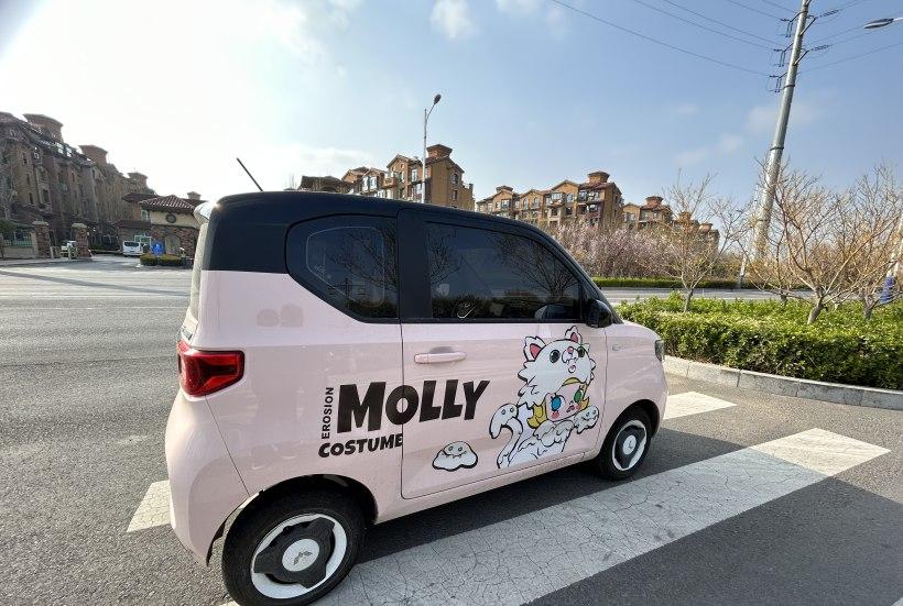 怎么选择自己第一台车 (如何选购一台车)