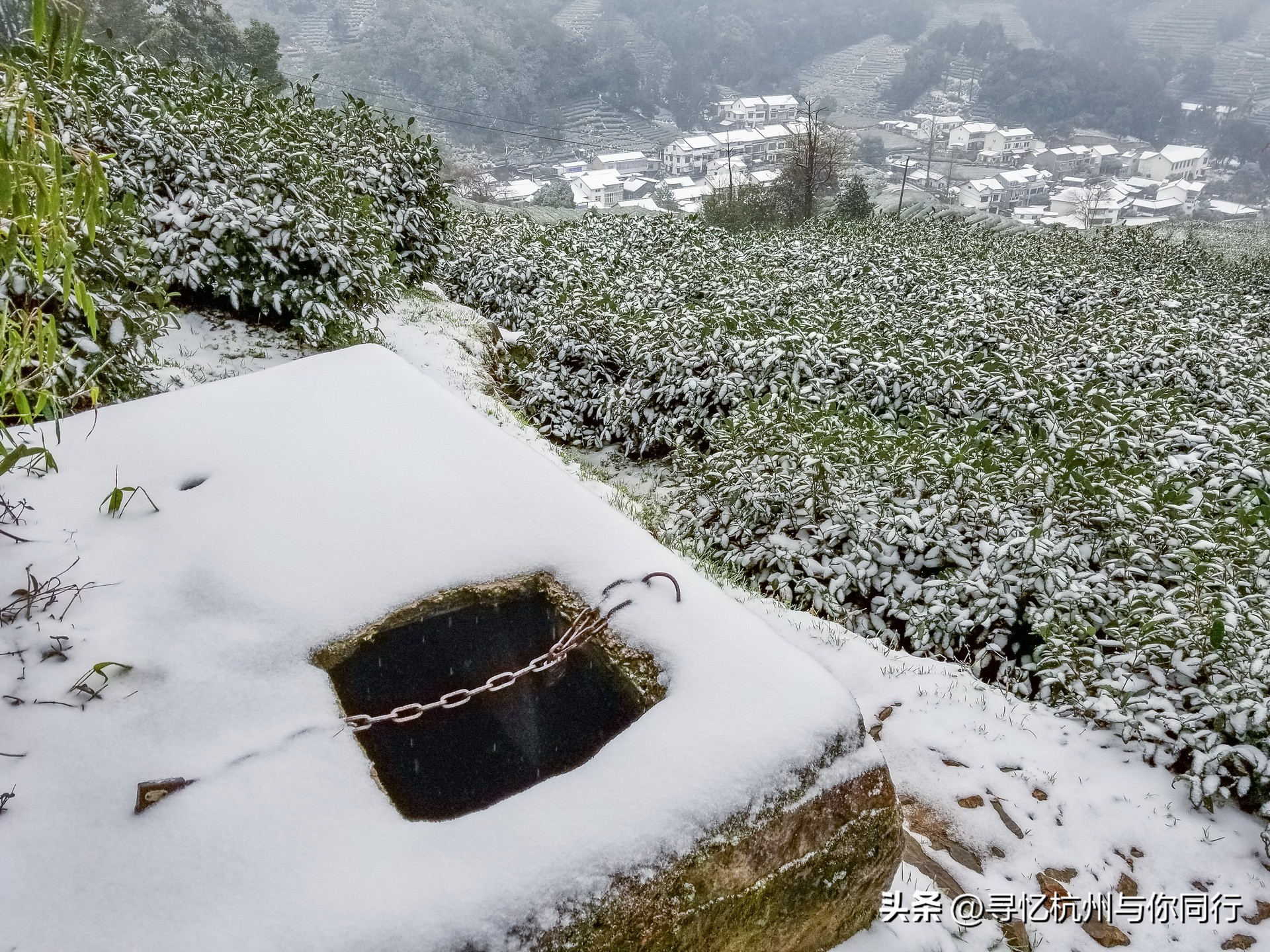 杭州三大景观古建筑,杭州三大名茶