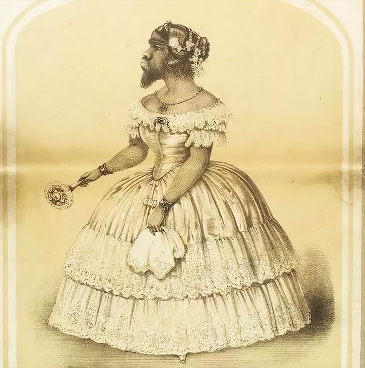 畸形秀背后的真相,畸形秀真实事件