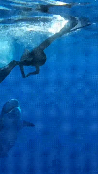 海底奇观欣赏,海底世界奇妙之旅图片