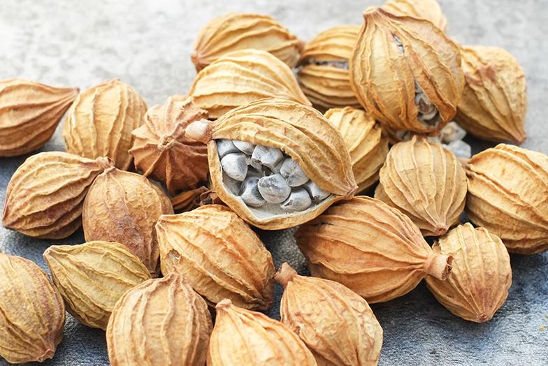 12种香料及分量,姜科植物的香料有哪些