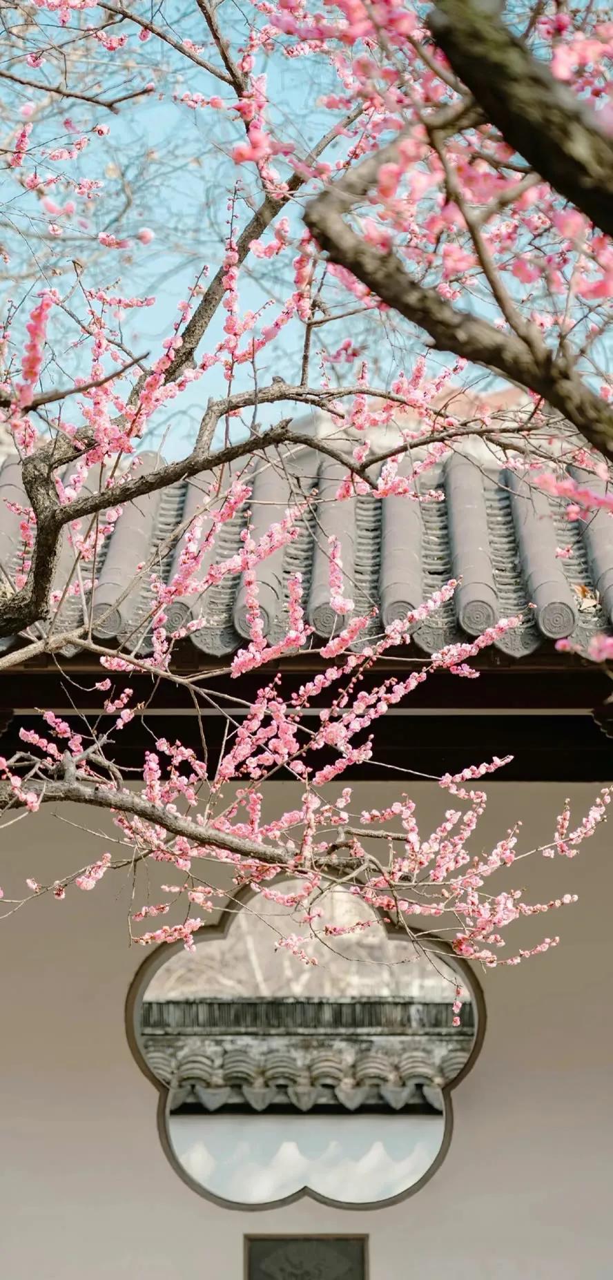 超高清海洋沙滩风景壁纸全屏,湛蓝的海水海滩风景高清壁纸