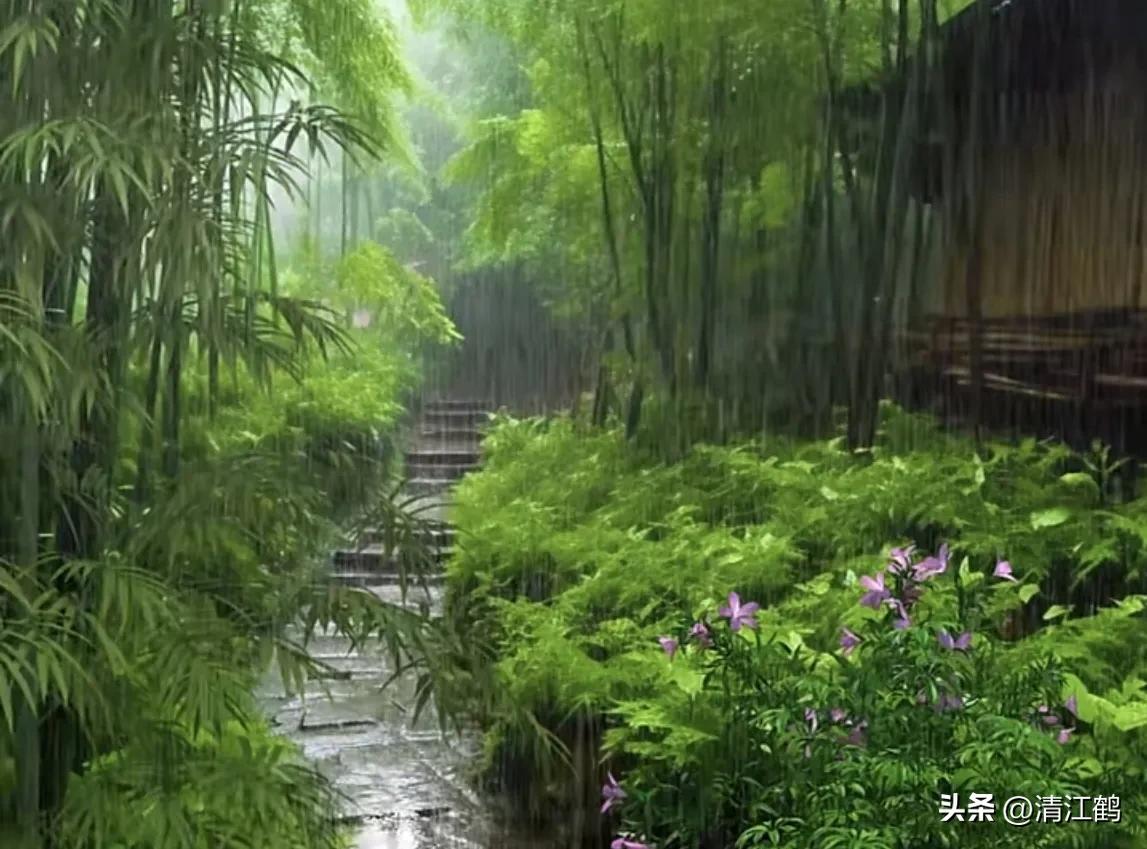 怎样解决除草剂对树的危害,十大恶性杂草除草方案