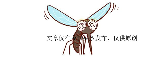 蚊香液哪种比较无毒,养宠物家用蚊香推荐