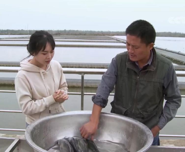 水库养鱼一年收入1000万,30亩养鱼塘一年收入