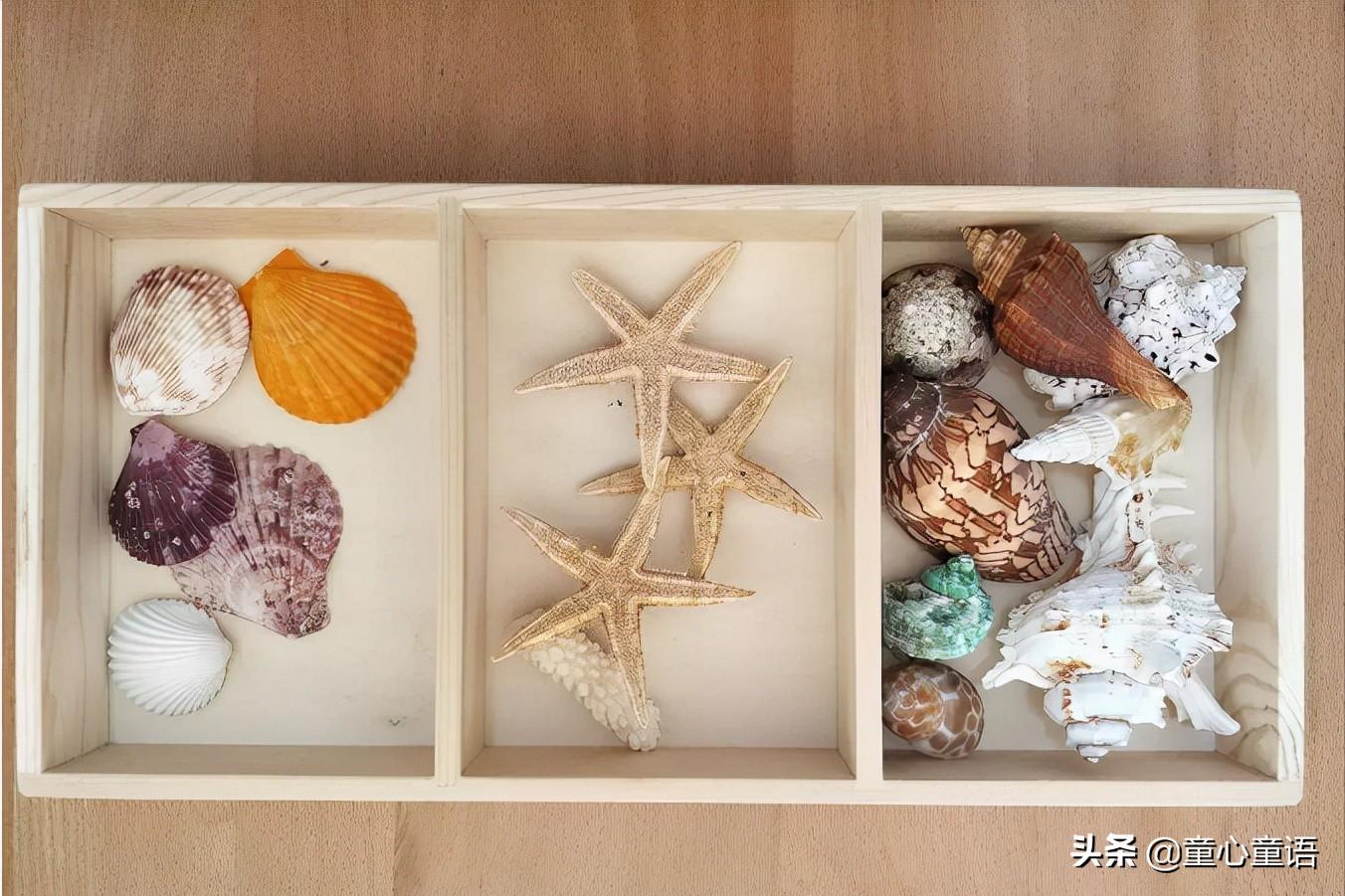 蒙台梭利幼儿园靠谱么,全球十佳蒙台梭利幼儿园