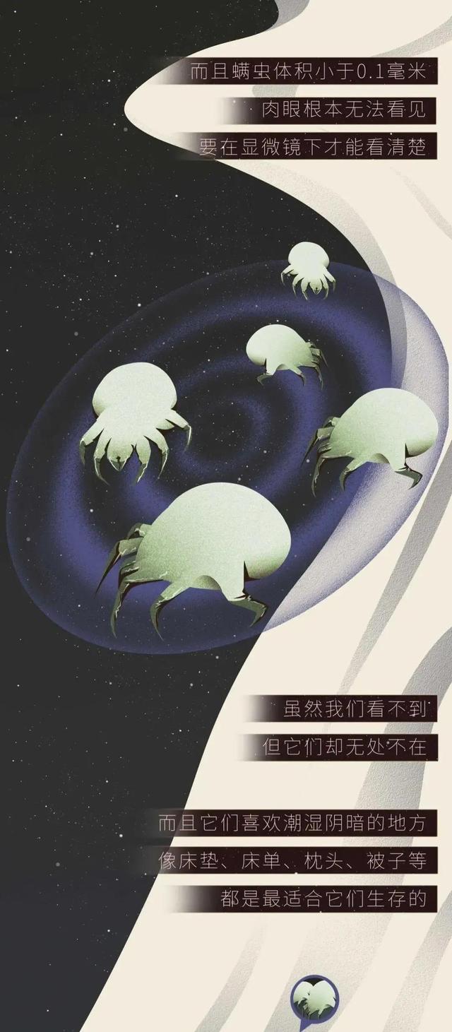 女孩子的床为啥脏,女孩子的床有多整洁