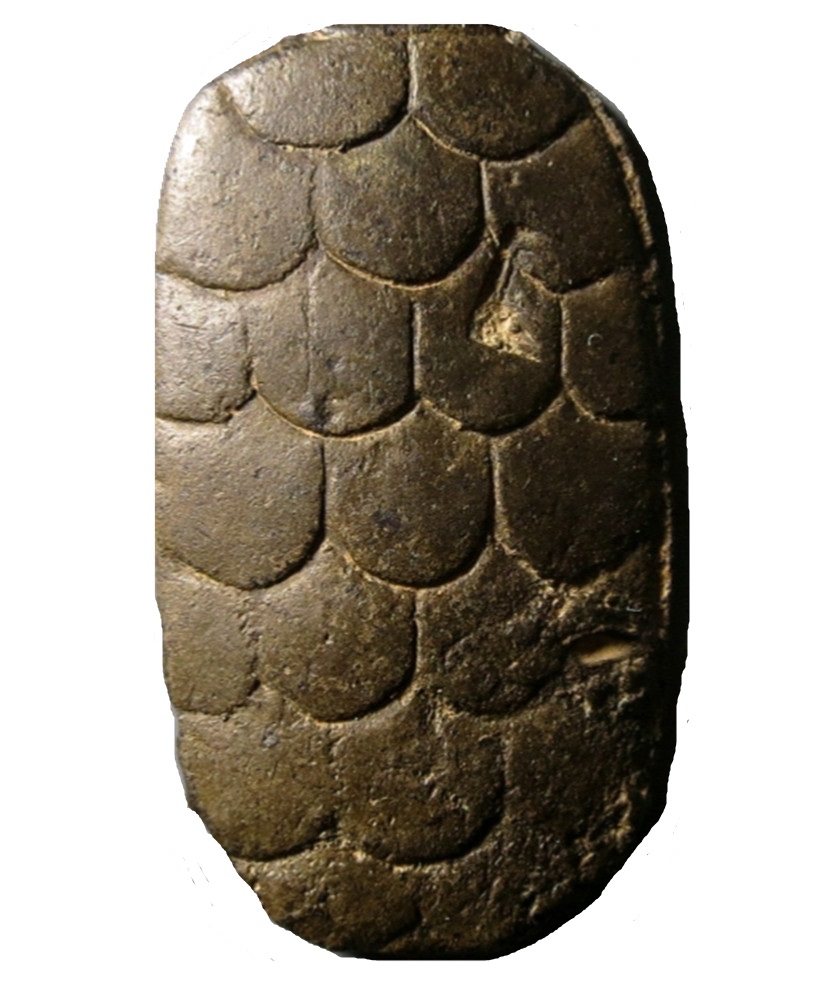 新疆新红钱乾隆通宝,新疆红泉堂钱币