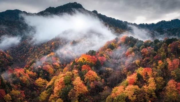 人的命里该有钱财得失吗,怎么分析一个人缺不缺钱