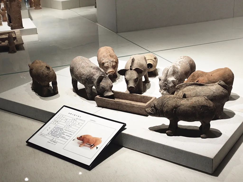 石湾陶瓷博物馆南国陶都的发展史,石湾陶瓷博物馆藏品