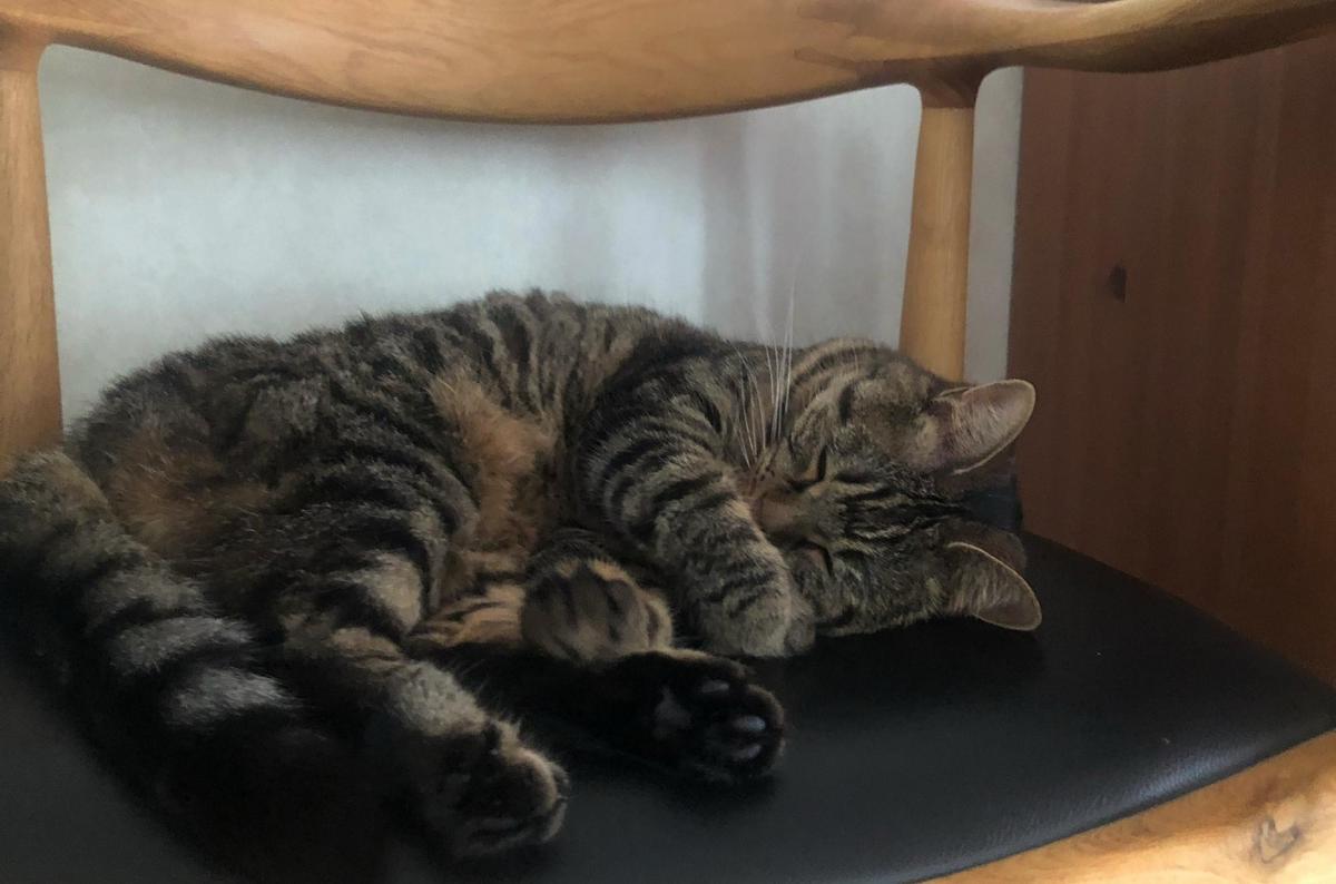 30张罕见晚清照:女子躺炕上欲仙欲死,骑跨在男子头上的洋人女子