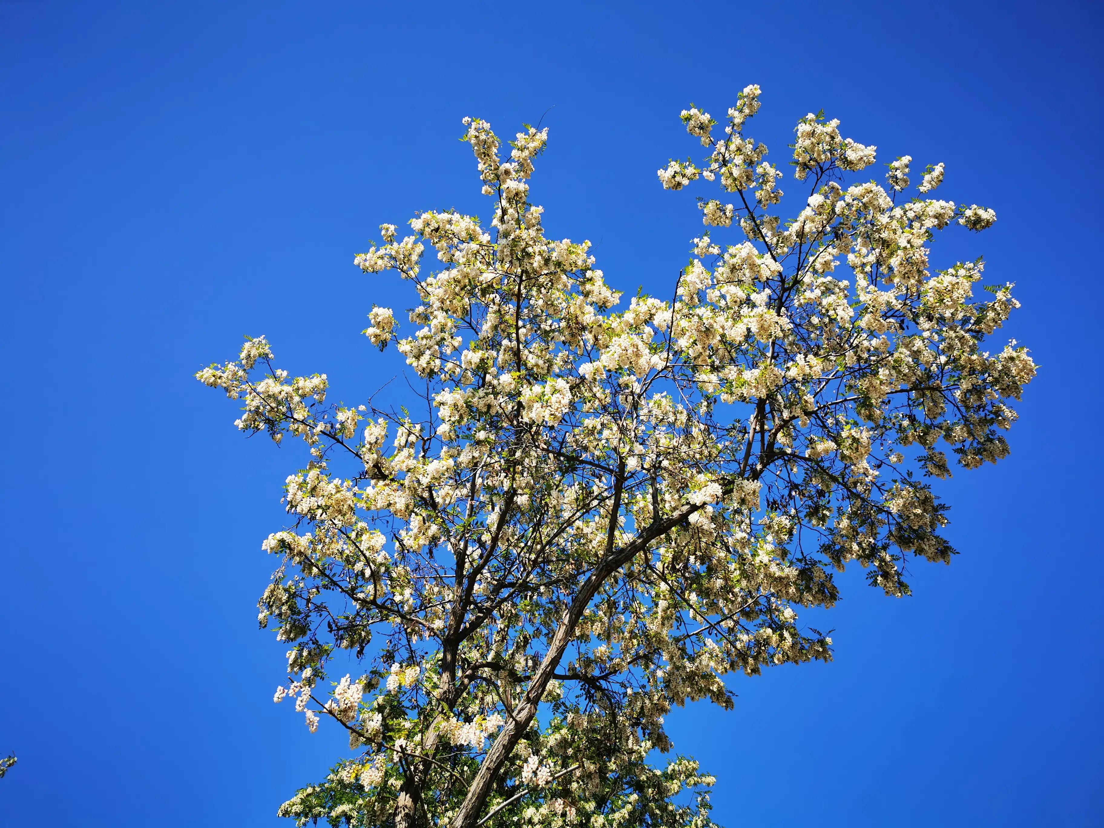 蜗牛徒步999,蜗牛徒步视频