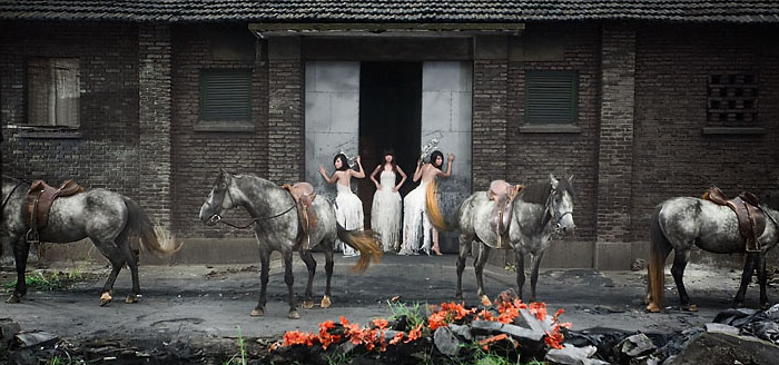 读马语者的感悟,一分钟看懂一幅摄影作品