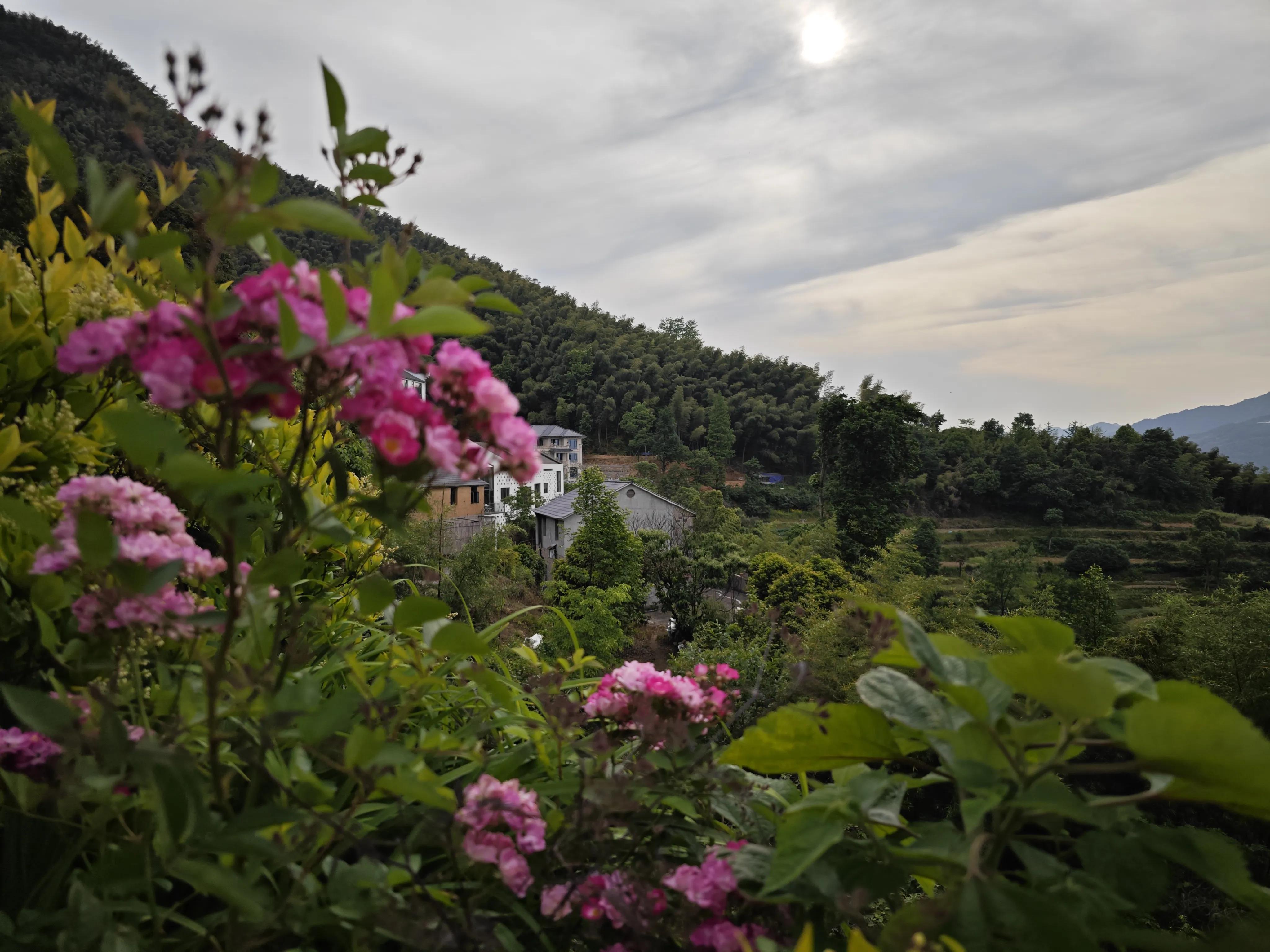 梯田里的绝美民宿欣赏,梯田观景最好的民宿