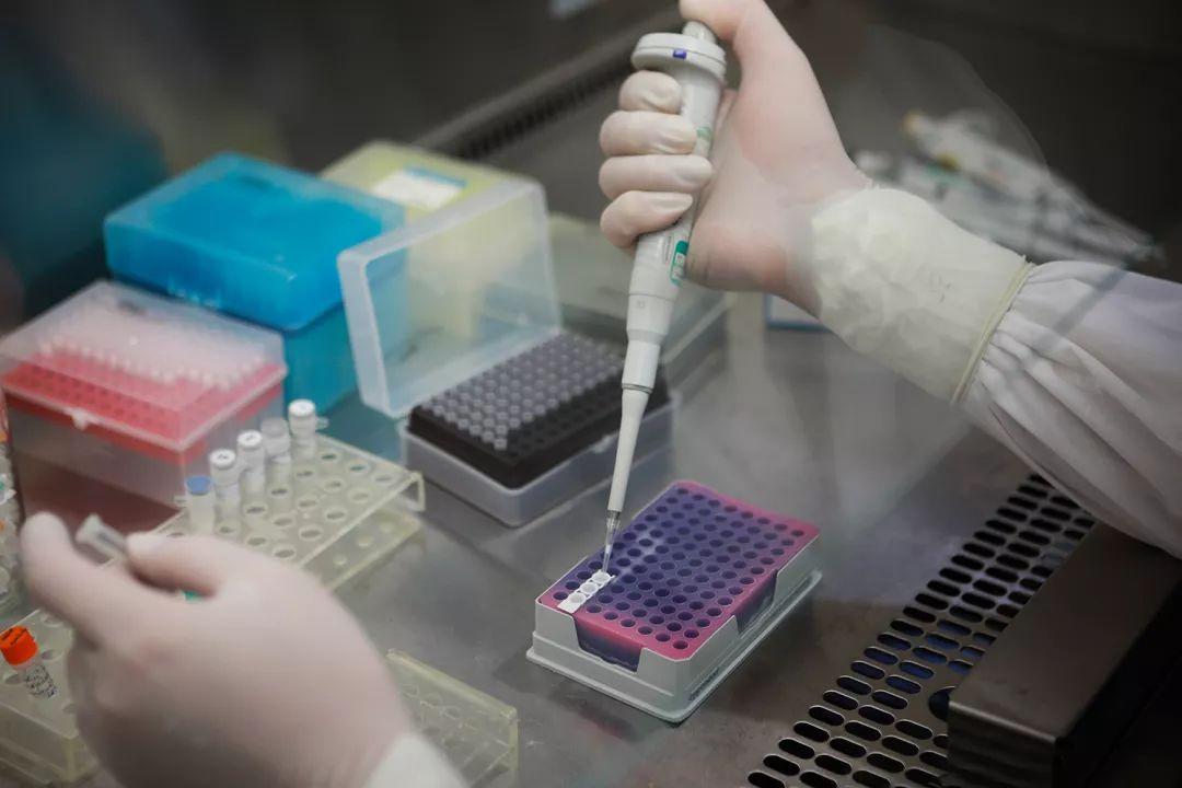 Machado-Joseph病是常染色体显性遗传病，目前没有特定的治疗方法