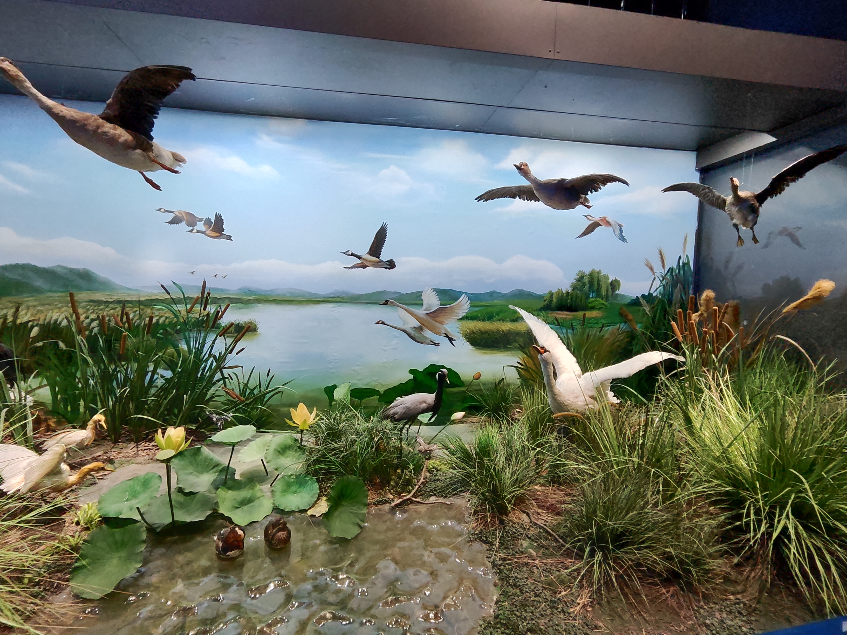 河南科技馆预约攻略详细,河南省科技馆攻略