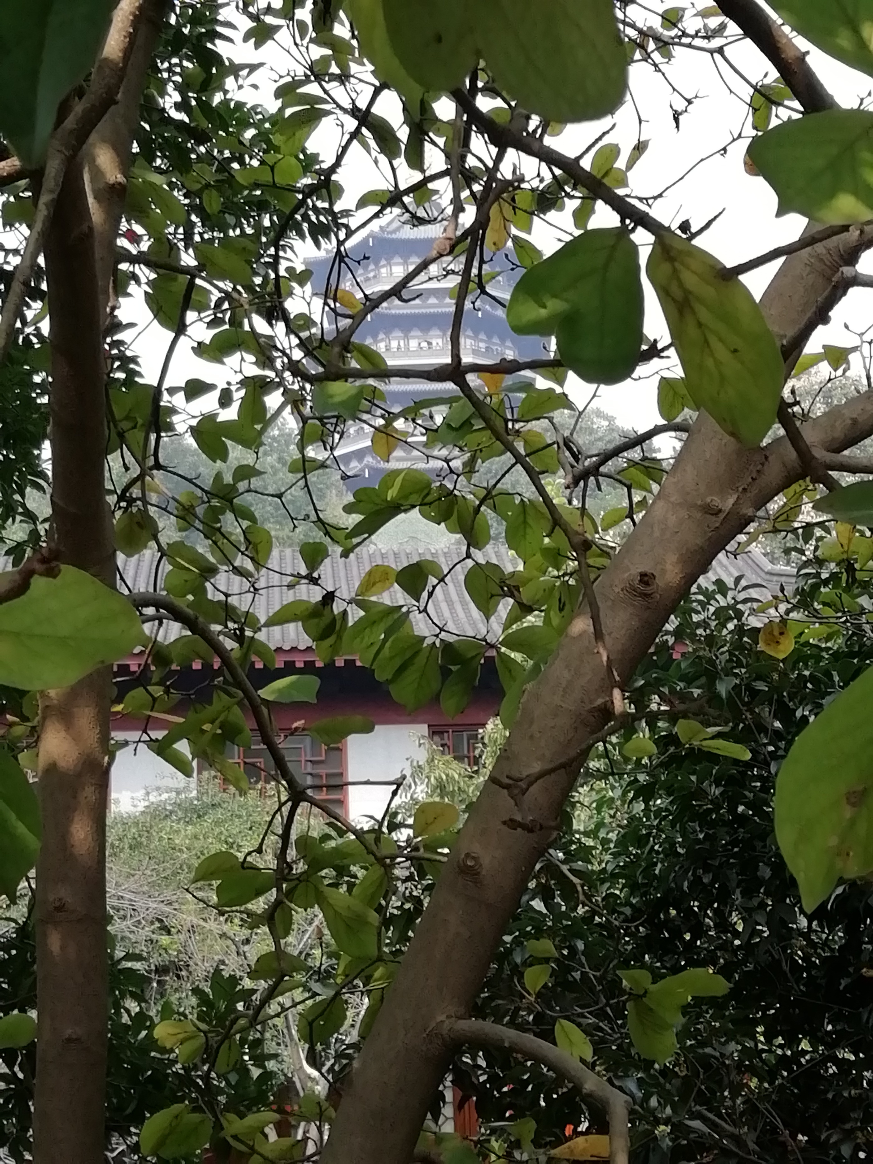 杭州美景盖世无双合集,来看看杭州的西湖美景