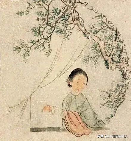 历代*书禁**闻见录(二十一)雨花香