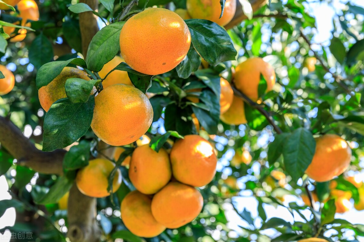 原创诗词集100首,原创诗词大全100首