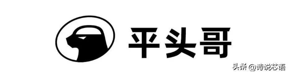 成都有哪些芯片公司推荐,成都有哪些芯片封装企业