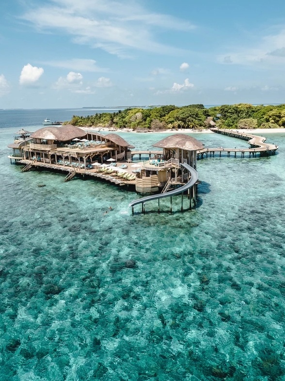 罗莱夏朵香缇,罗莱夏朵探店