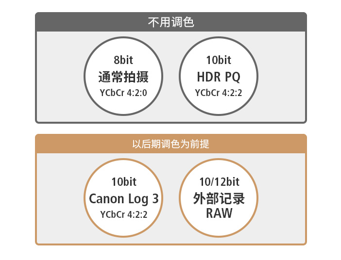 佳能R6MarkII来了，6K60P外录支持，16499元与对手拉开差距
