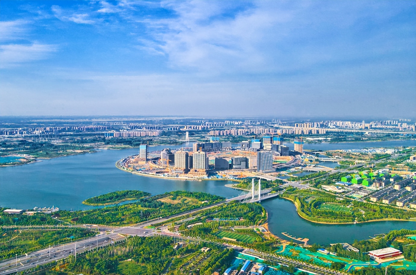 产业迸发新活力,培育龙头企业推进产业发展