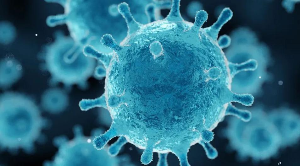 小孩反复感冒抵抗力差怎么办,孩子经常感冒抵抗力差怎么补