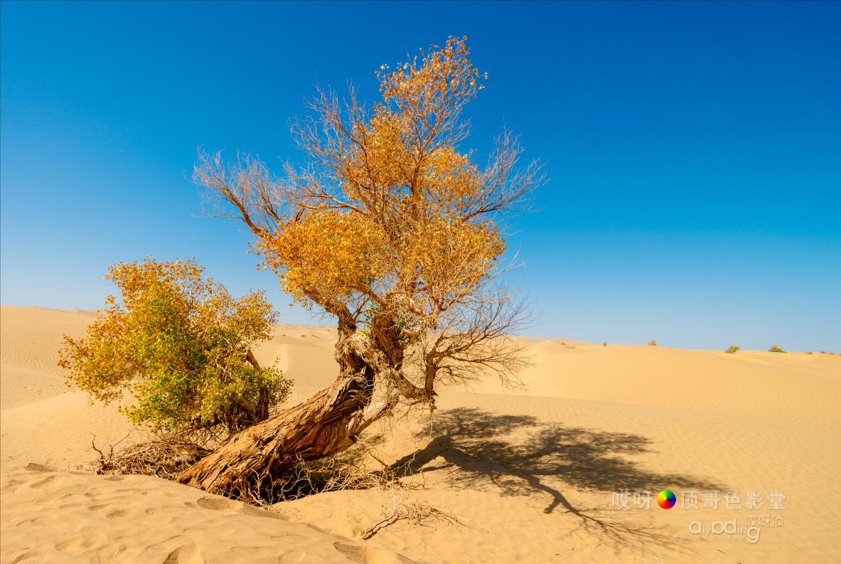 女司机带娃去新疆自驾游,带着女司机自驾游兰州