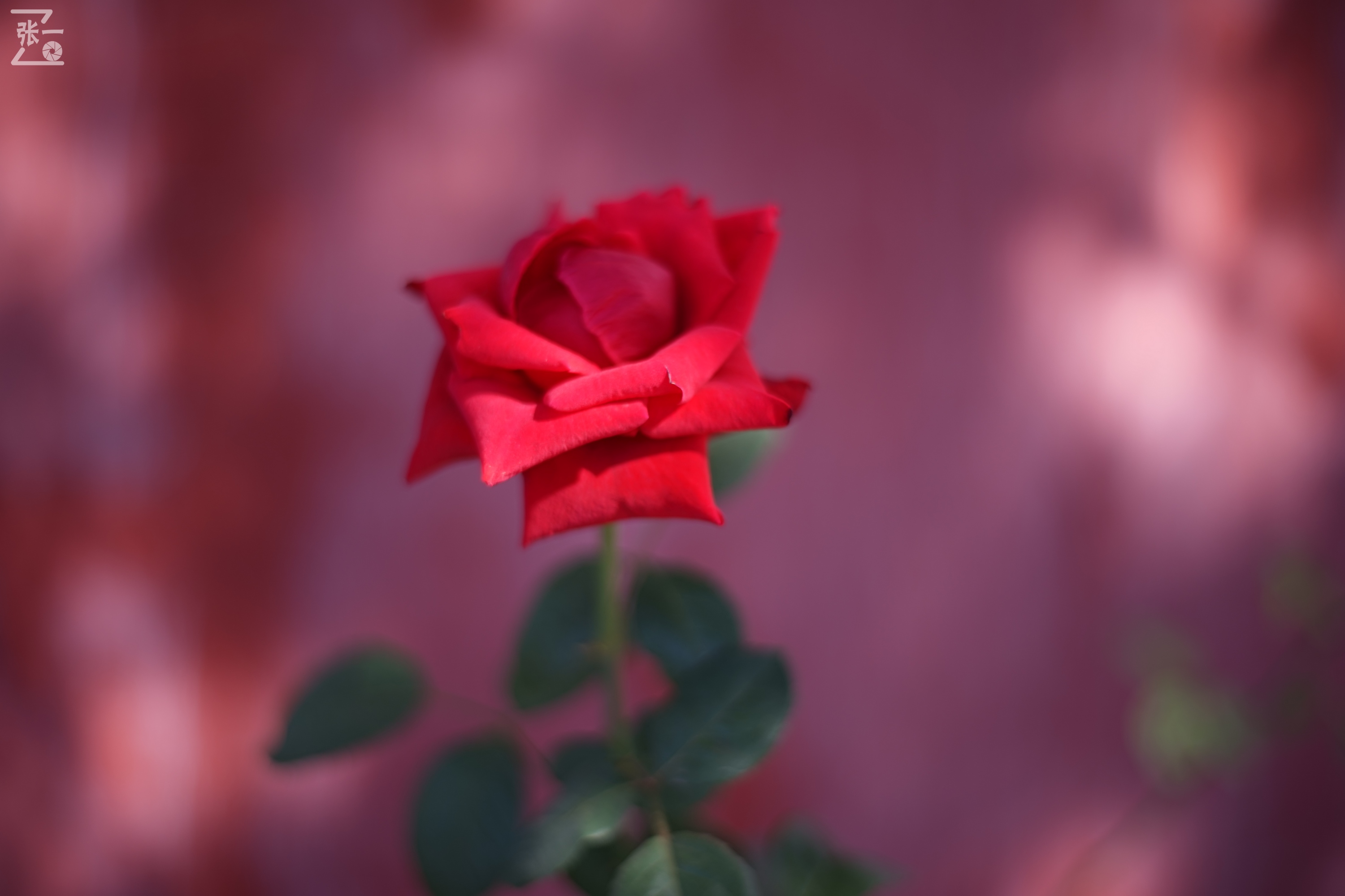 老镜头实拍,老镜头拍北京