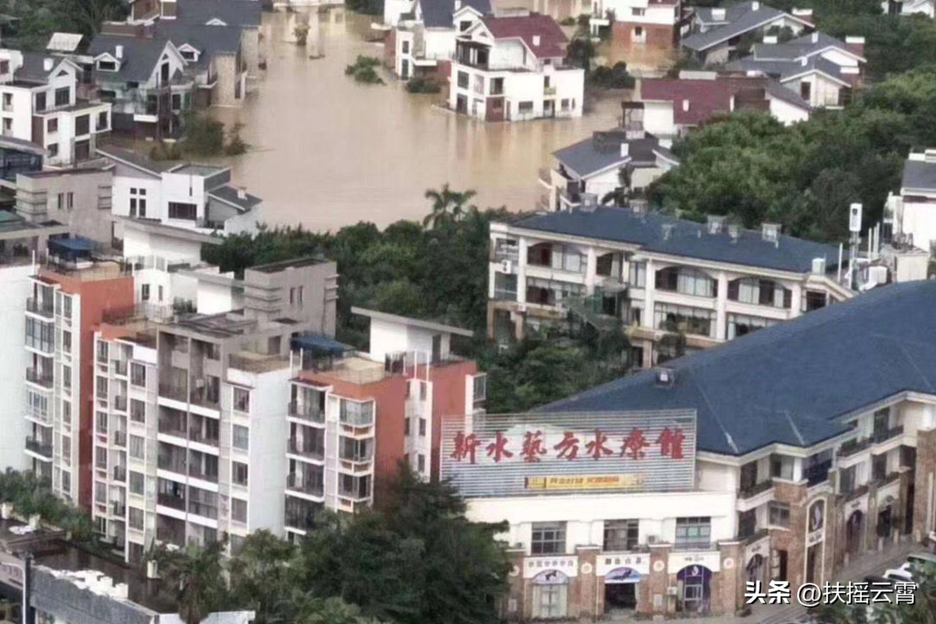 志愿者李天辉及队友：热心邻里公益如春风，大事小情无私抢着干