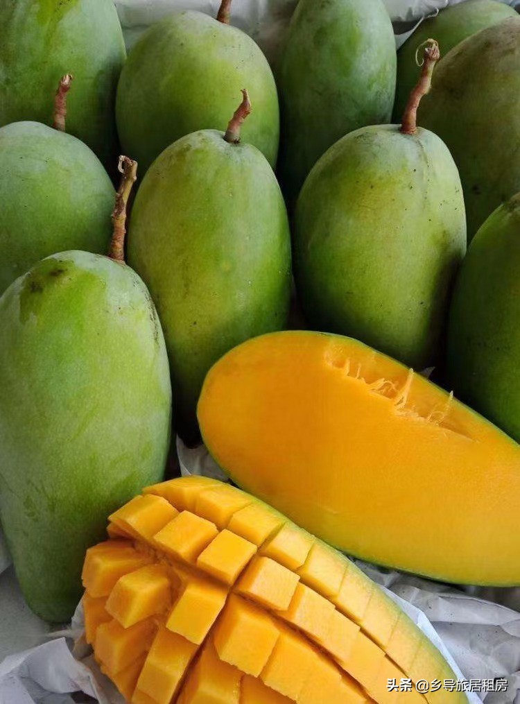 在三亚买芒果攻略,三亚旅游买芒果